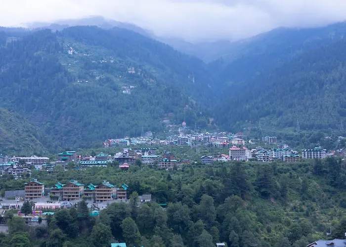 Himalayan Spurge Villa
